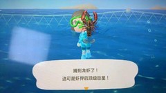乙女游戏攻略日站-动物森友会如何抓海洋生物海底生物捕捉方法分享