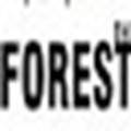 森林十六项修改器