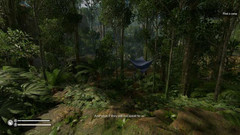 七夜游戏攻略视频-丛林地狱净水如何获得 净水的获得方法分享