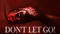 别放手（Don't Let Go!）vr game crack下载