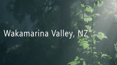 新西兰瓦卡马里纳山谷（Wakamarina Valley, New Zealand）VR游戏下载