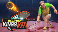 壁球之王（Squash Kings VR）vr game crack下载