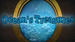 海洋珍宝/海洋宝藏(Ocean's Treasures)vr game crack下载