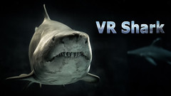 鲨鱼（VR Shark）VR游戏下载
