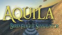 雄鹰飞行模拟器(Aquila Bird Flight Simulator)vr game crack下载