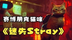 【5.05降级/9.0】PS4《赛博猫/迷失 Stray》中文整合版pkg下载（v1.03）