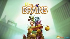 【5.05】PS4《小小脑袋 （Tiny Brains）》双人游戏pkg下载